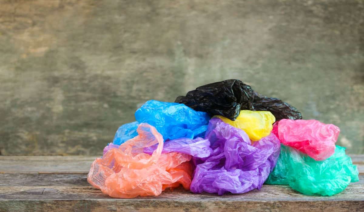 Buy All Kinds of Plastic Bags for Packing + Price
