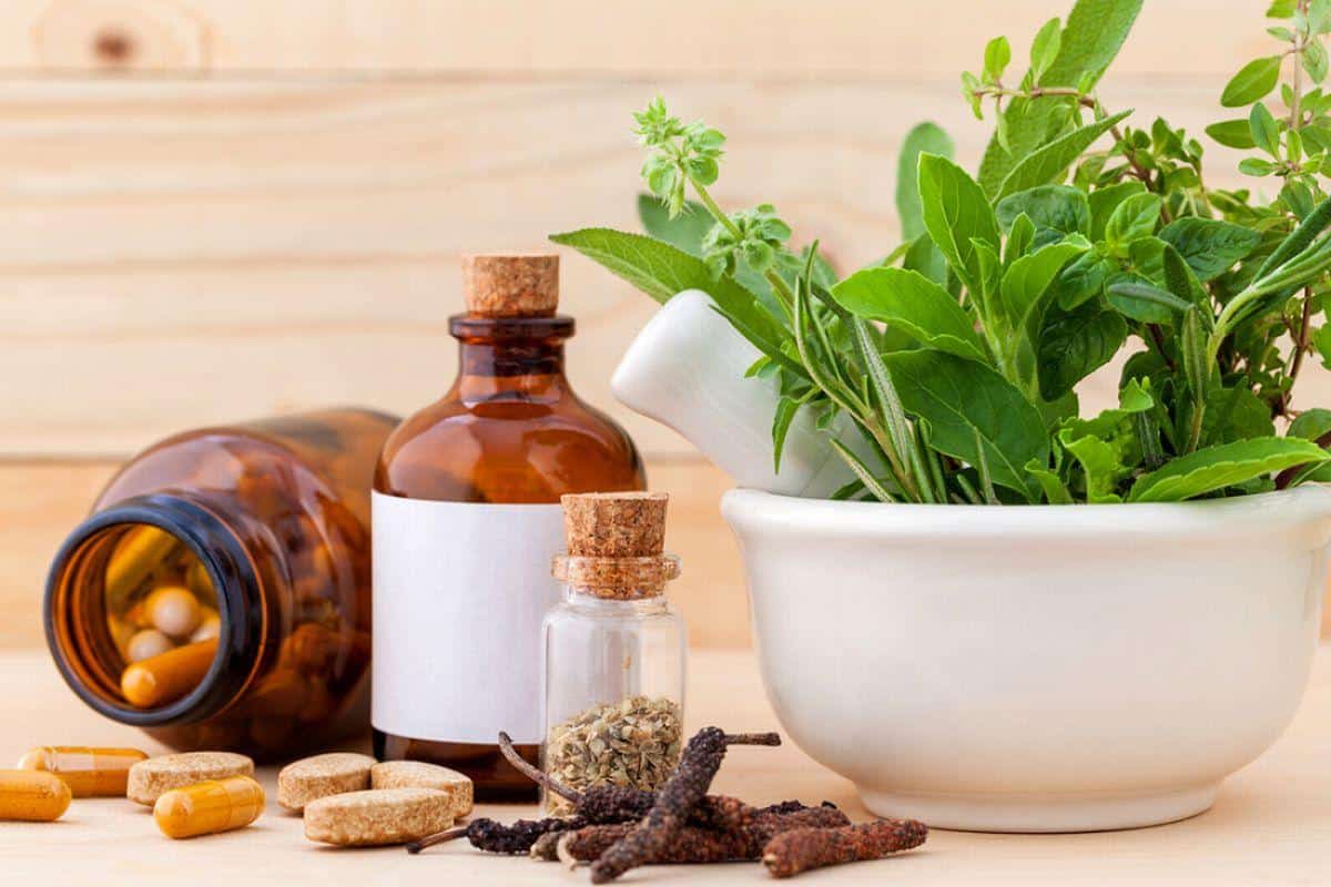 Herbal medicine business plan