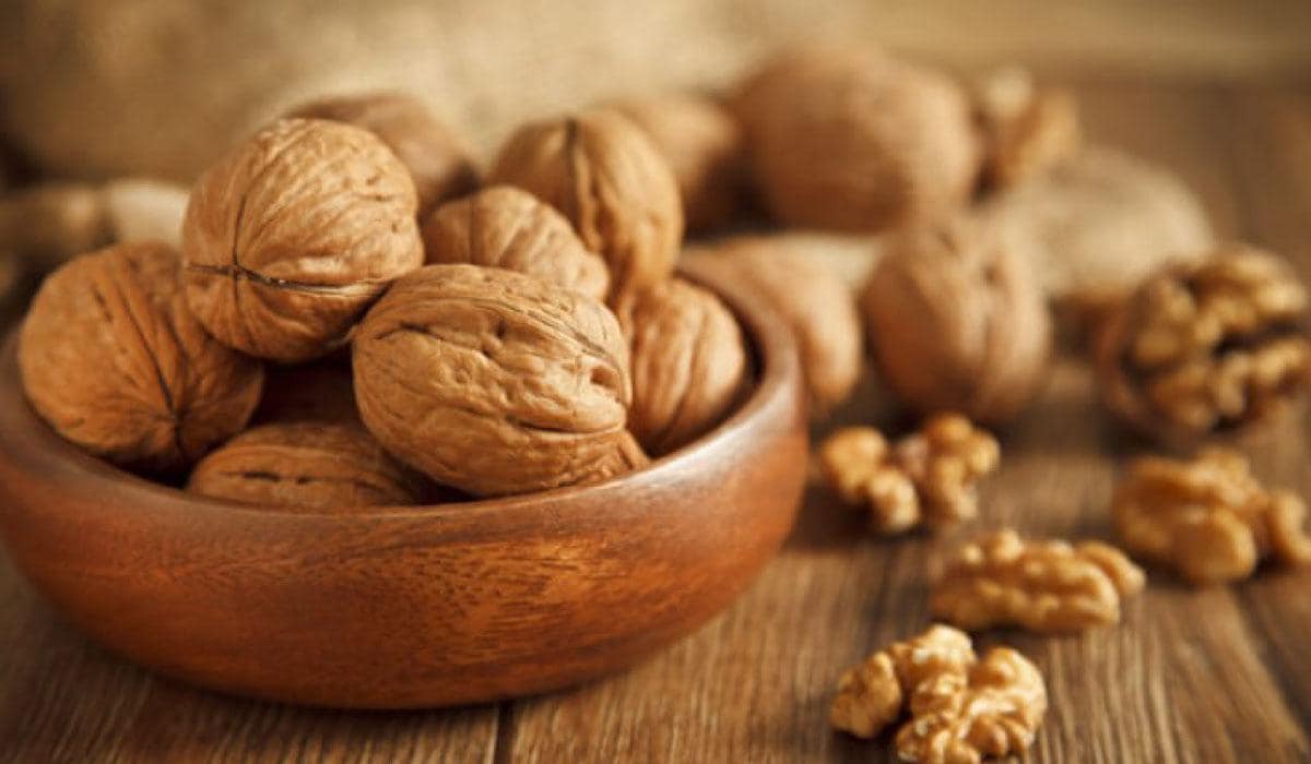 buy Walnut wholesale price at business of selling