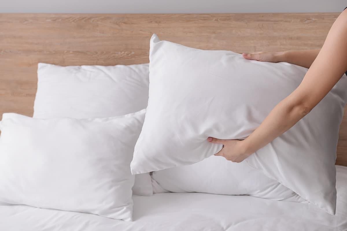The price of feather pillow  + cheap purchase