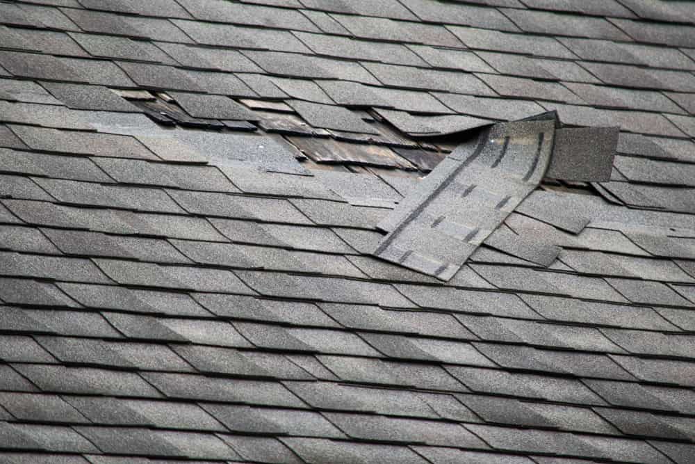 Buy Asphalt shingle roof underlayment + great price
