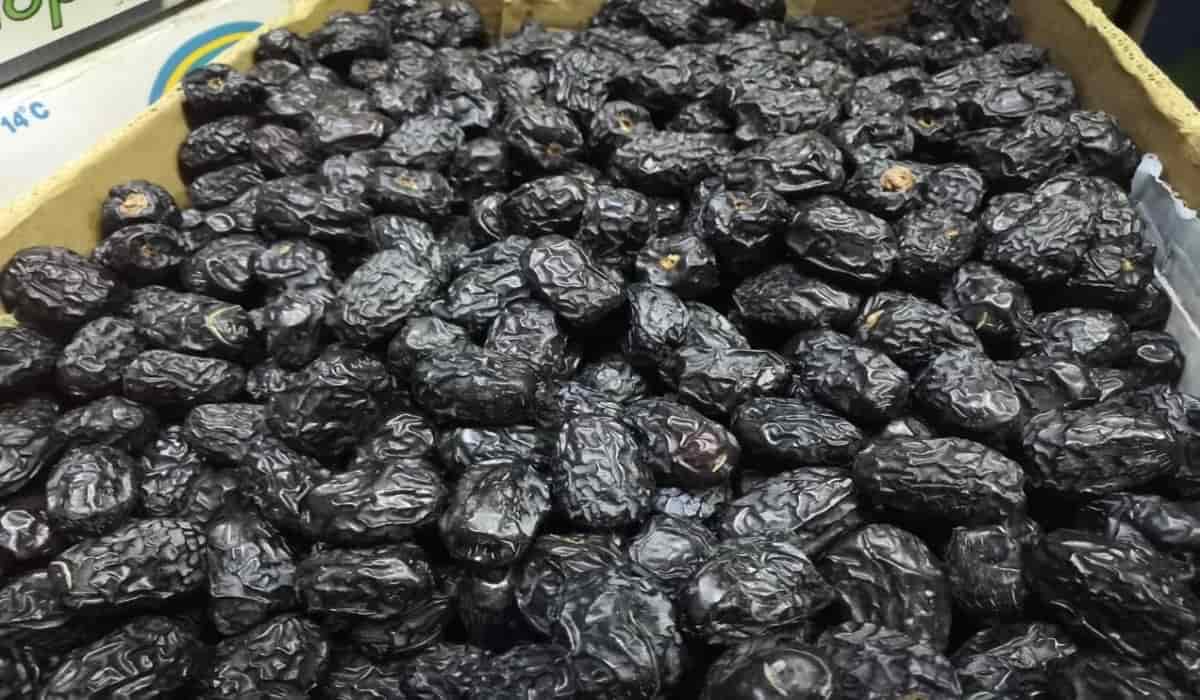 what are the benefits of black dates