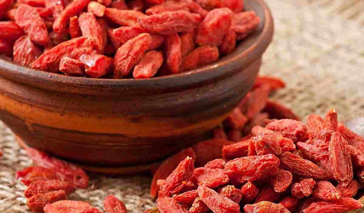 Dry Red Raisins Price List in 2023