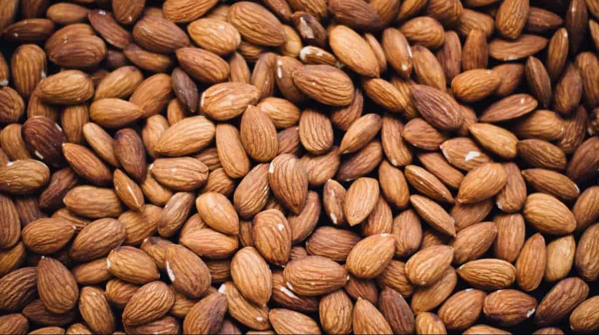 Buy and price of Russian almond edible