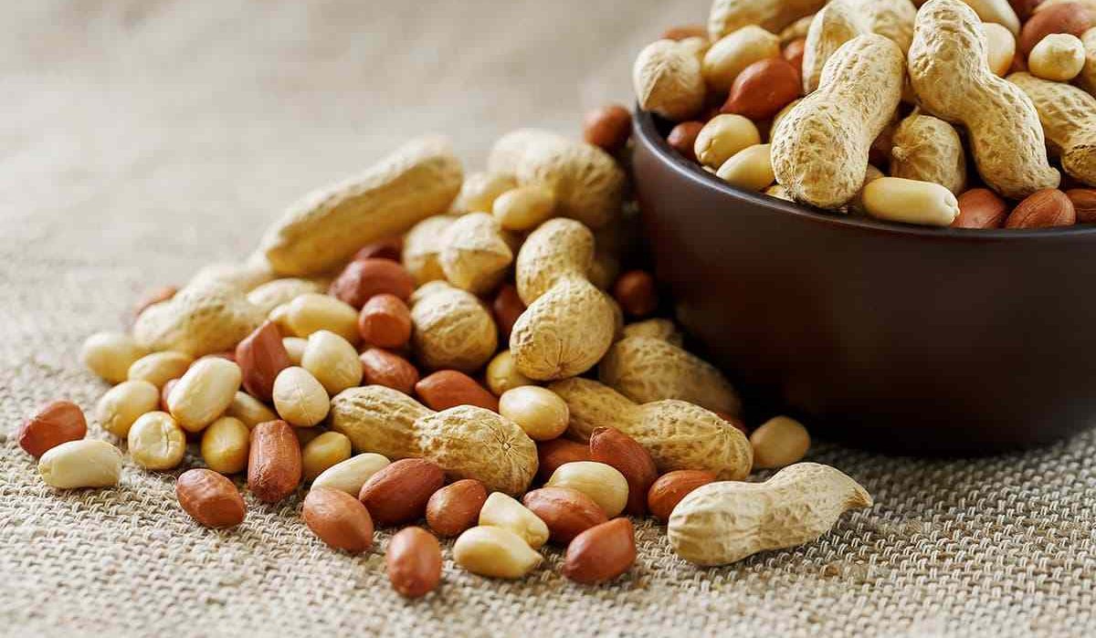 benefits of roasted peanuts in shell on brain and body