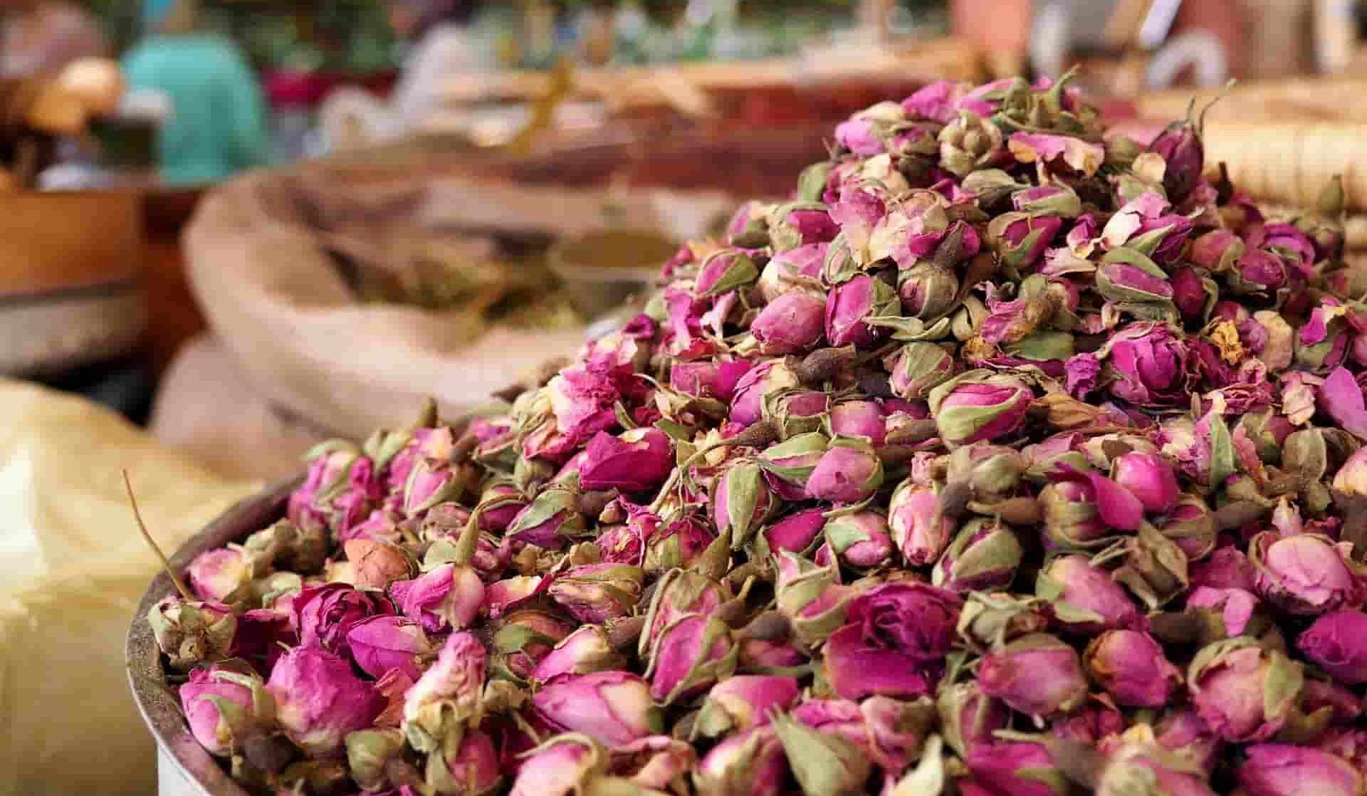 Dried damask rose buds wholesale price