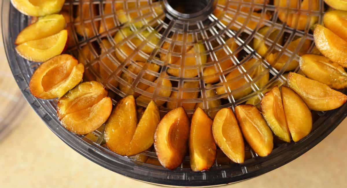 Buy The Latest Types of dried apricot muffins
