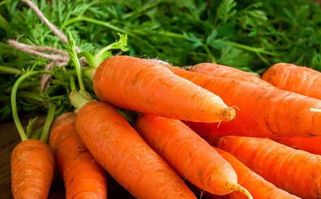 Orange carrots  purchase price + excellent sale