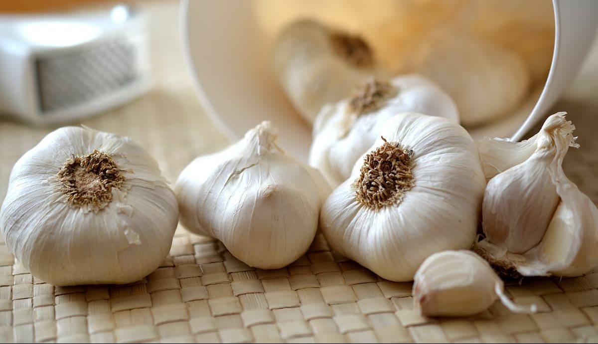 Buy White Garlic | Selling with Reasonable Prices