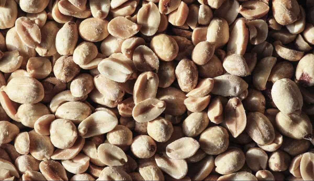 are peanuts legumes or nuts