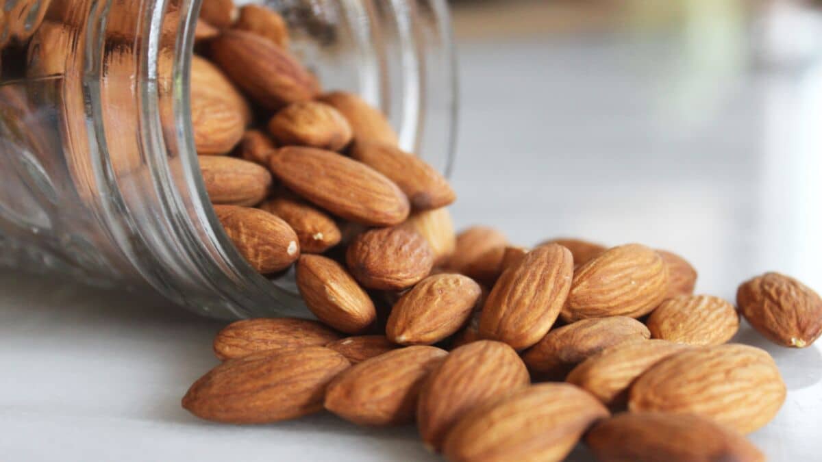 Silver unsalted almond wholesale | buy at a cheap price