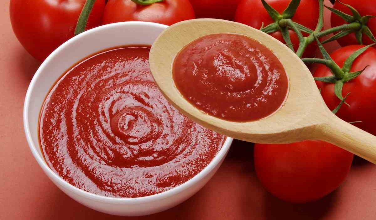 Introduction of Tesco Tomato Puree + Best buy price