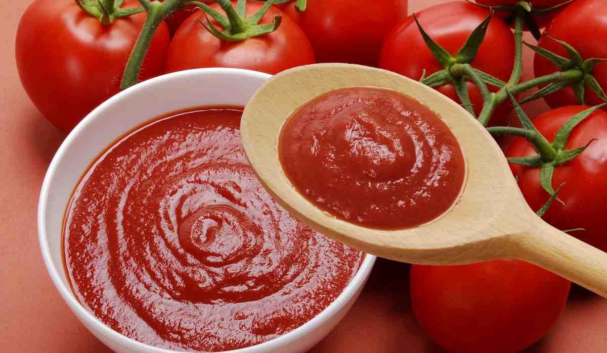 The Best Price for Buying Tomato Sauce Ketchup