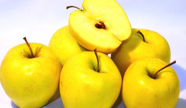 Buy Best Golden delicious apple + Best Price