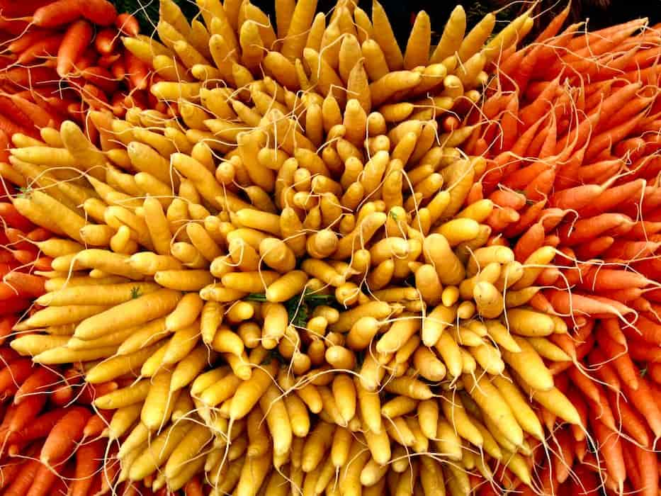 Yellow Carrots Purchase Price + Sales In Trade And Export