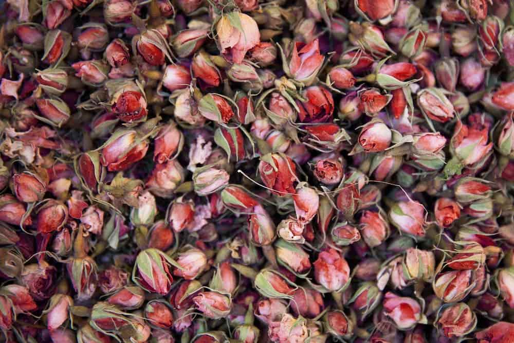 buy dried rosebud | Selling With reasonable prices