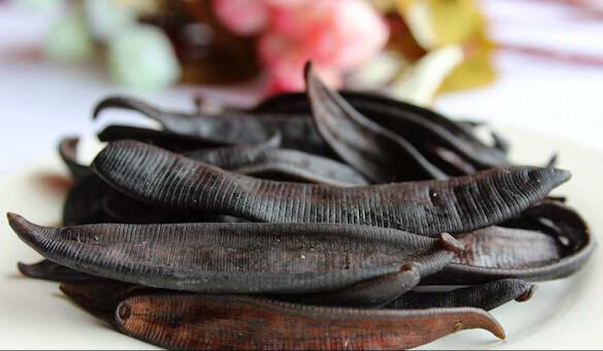 Buy and price of the best types of Dried Leech