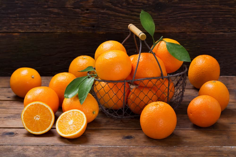navel orange wholesale price