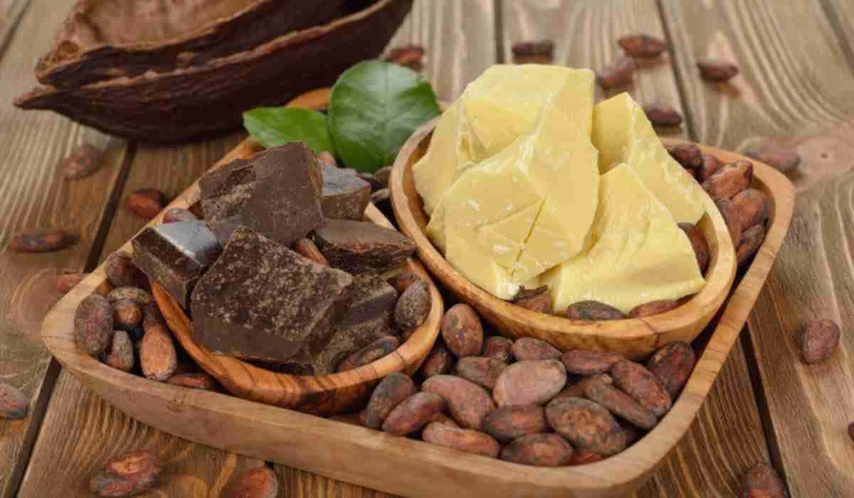 Buy Cocoa Powder | Selling with Reasonable Prices
