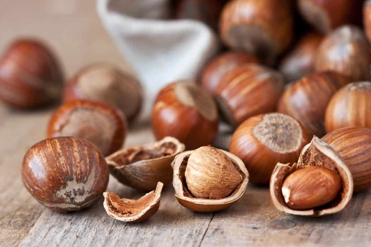 Buy All Kinds of Brown Hazelnut at the Best Price