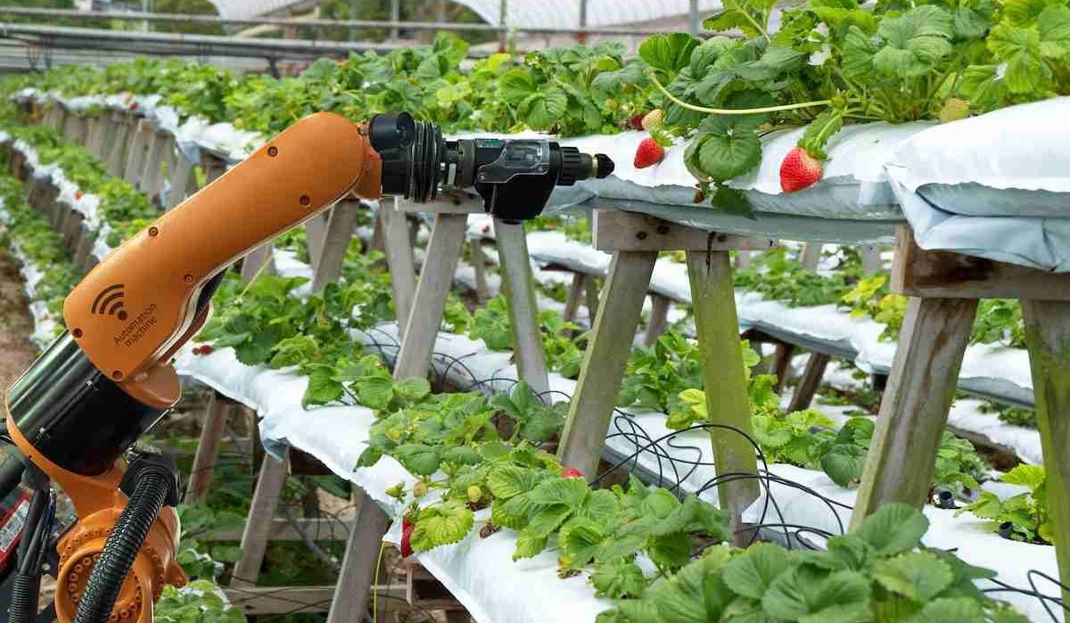 Agriculture Robot purchase price + excellent sale