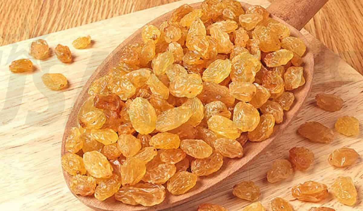 Price Plump Raisins + Wholesale buying and selling