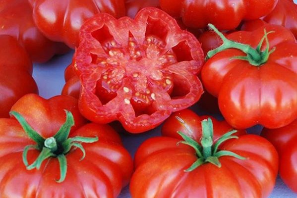 beefsteak tomato varieties + uses