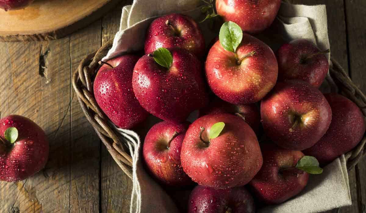 Sweet Sixteen Apples Price List in 2023