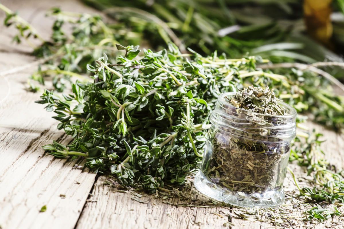The price of dried thyme in the oven and how to store it in the air