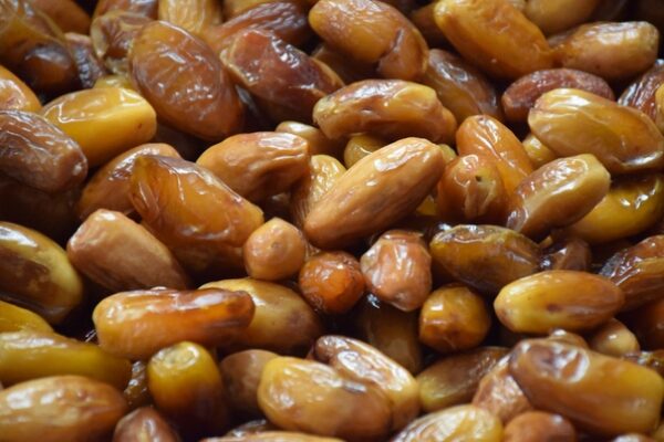 Buy and Price of Algerian Deglet Noor dates