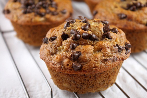 Buy Zucchini bread muffins with chocolate At an Exceptional Price