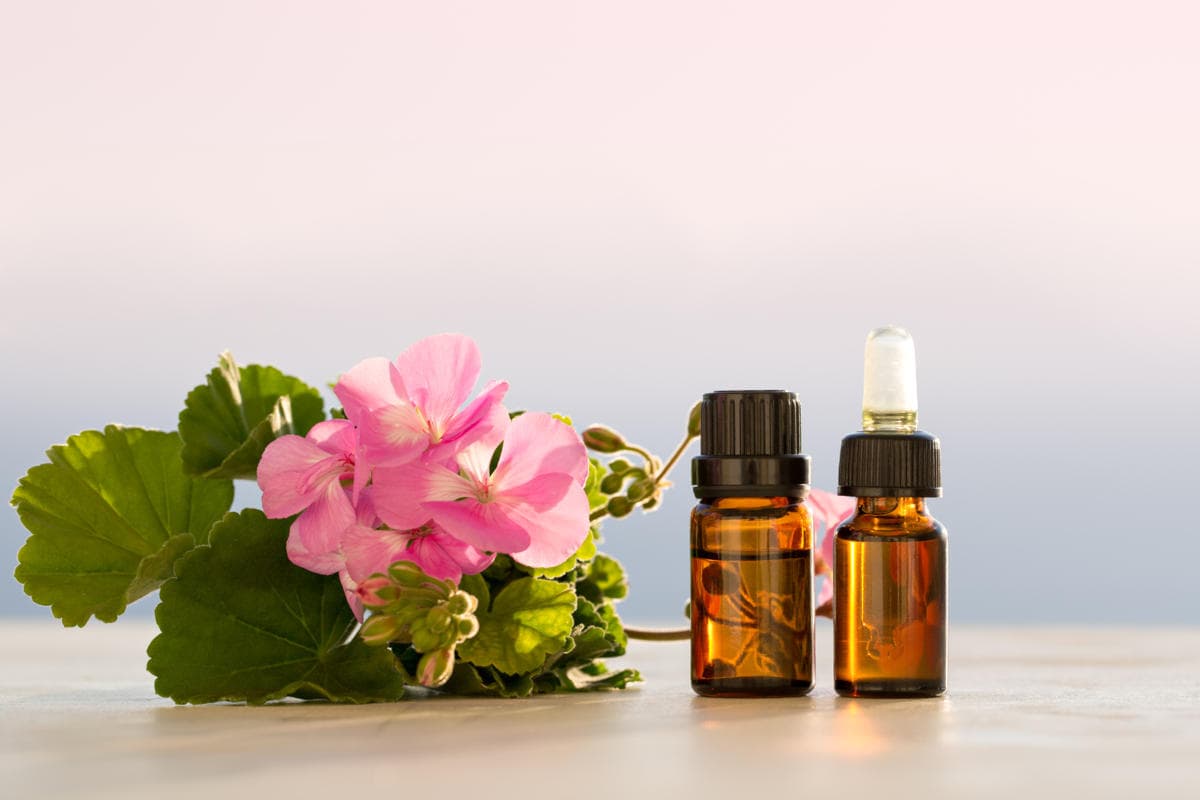 Applying damask rose essential oil on the face overnight benefits