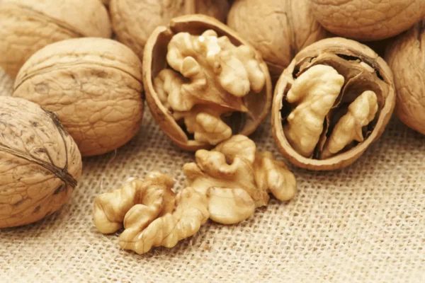 buy best walnut | Selling With reasonable prices