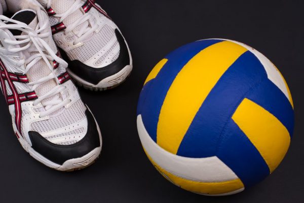 Top Volleyball Shoes 2023 Purchase Price + Photo