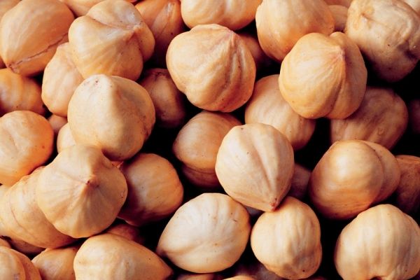 hazelnut kernels fruit Put an end to iron deficiency