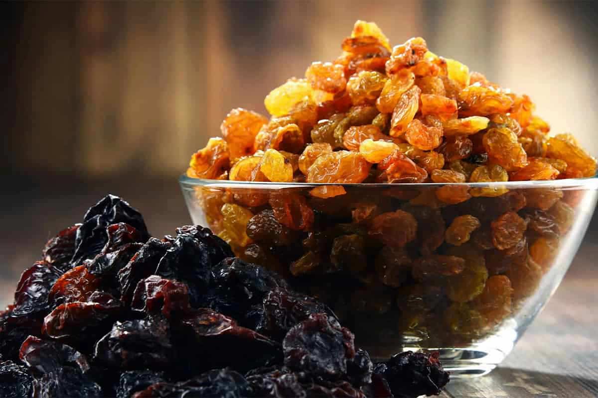 Can raisin production make money + manufacturing process