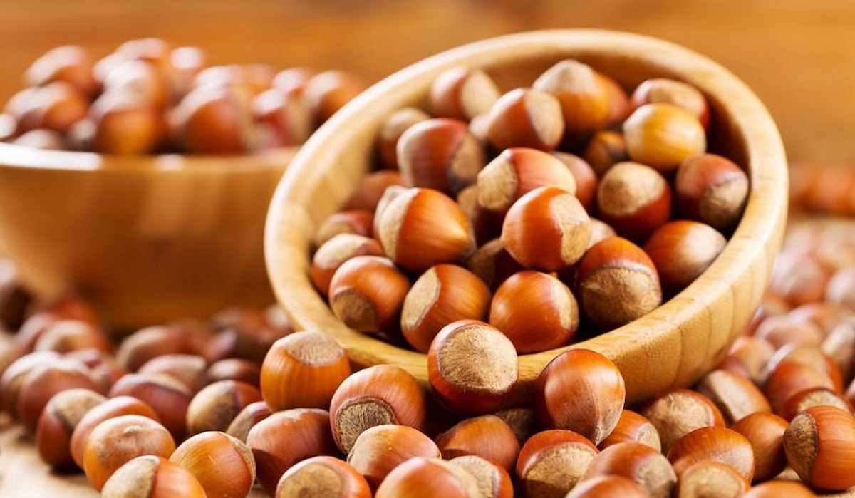 Buy and Current Sale Price of Hazelnut Kernels 10