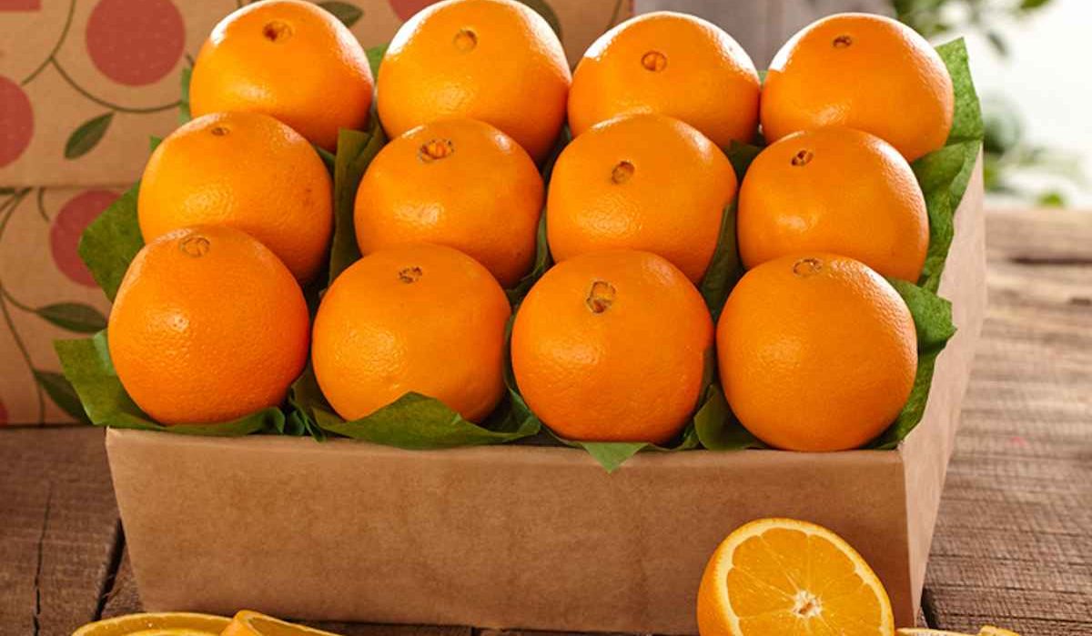 Buy Orange Fruit Peel Texture at an eanchorceptional price