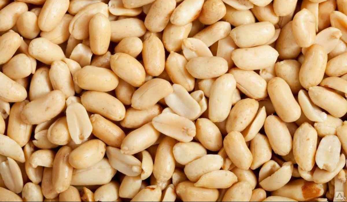 Buy Blanched Peanuts | Selling with Reasonable Prices