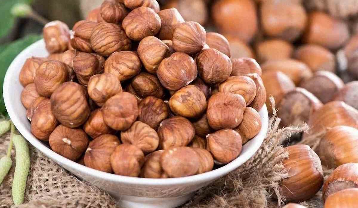 hazelnut kernels fruit nuts marbles for health