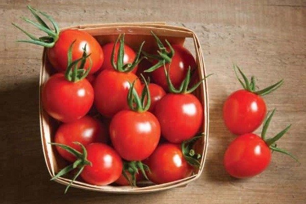are tomatoes good for fertility