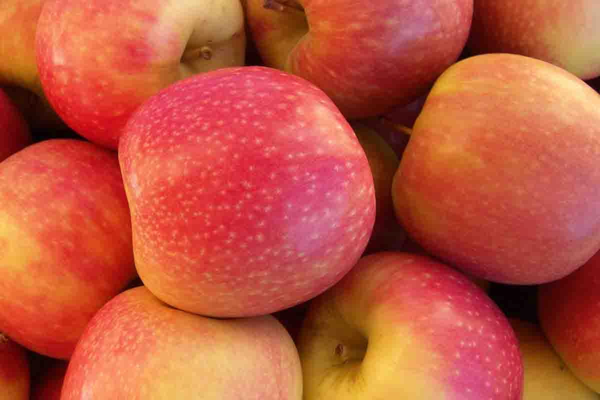 pink lady apple country origin