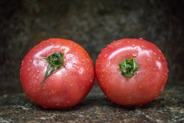 Heat-tolerant determinate tomatoes