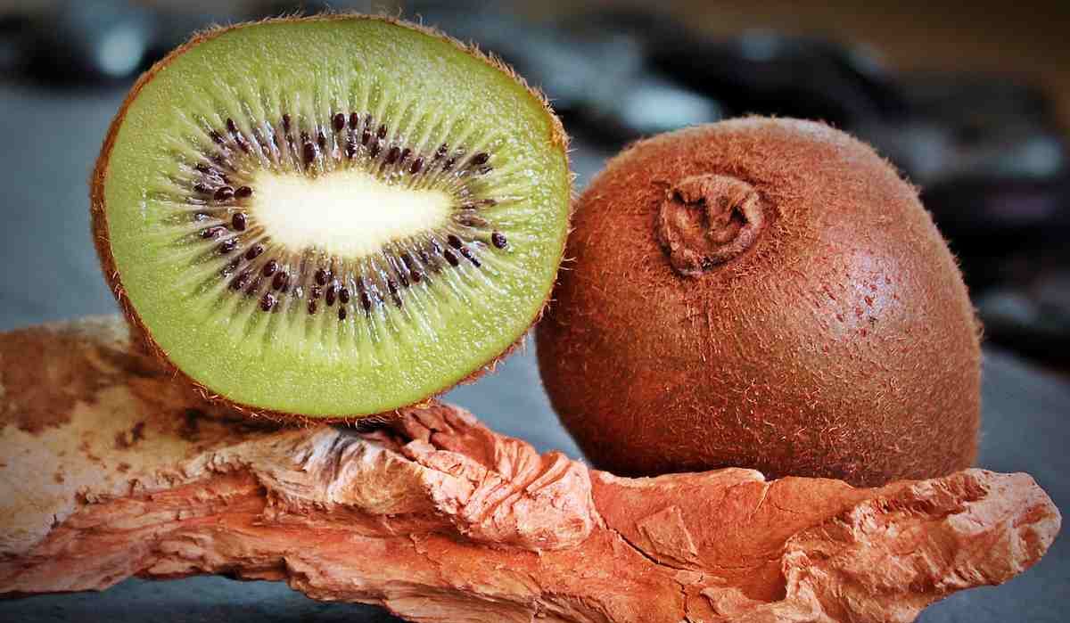 Buy and Current Sale Price of Kiwi Fruit Fertilizers