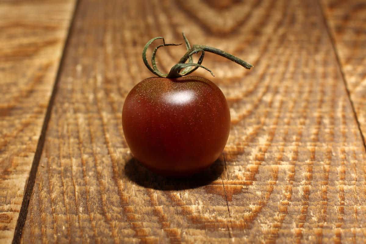 buy black cherry tomato seeds + great price