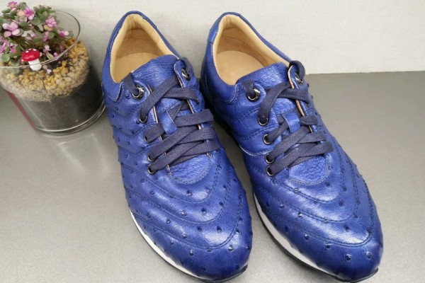 Buy All Kinds of ostrich leather shoes + Price