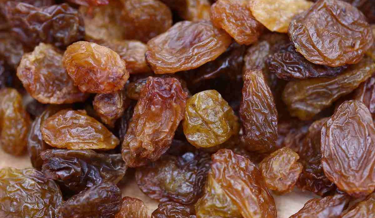 Buy and the Price of All Kinds of raisins expiration date