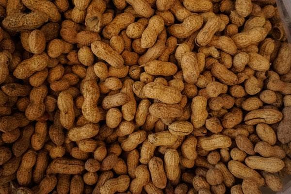 Indian spicy peanuts purchase price + Quality testing
