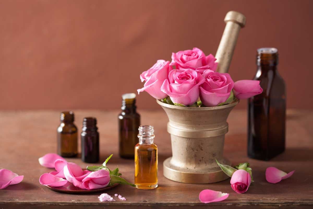 Damask rose essential oil to stop hair loss and regrow