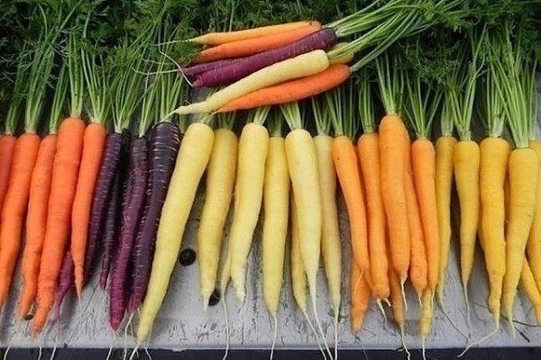 Costco organic carrots  Purchase Price + Photo